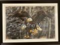 w   Eagle 2   Gerry Farrell  Fine Art Photography   550.00