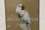 w   Parrot on Hand   Dennis Oscarson  Charcoal   90.00